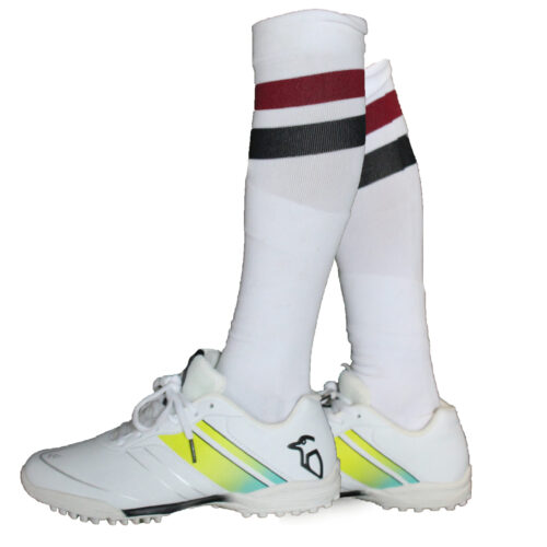 ARCA Academy Socks